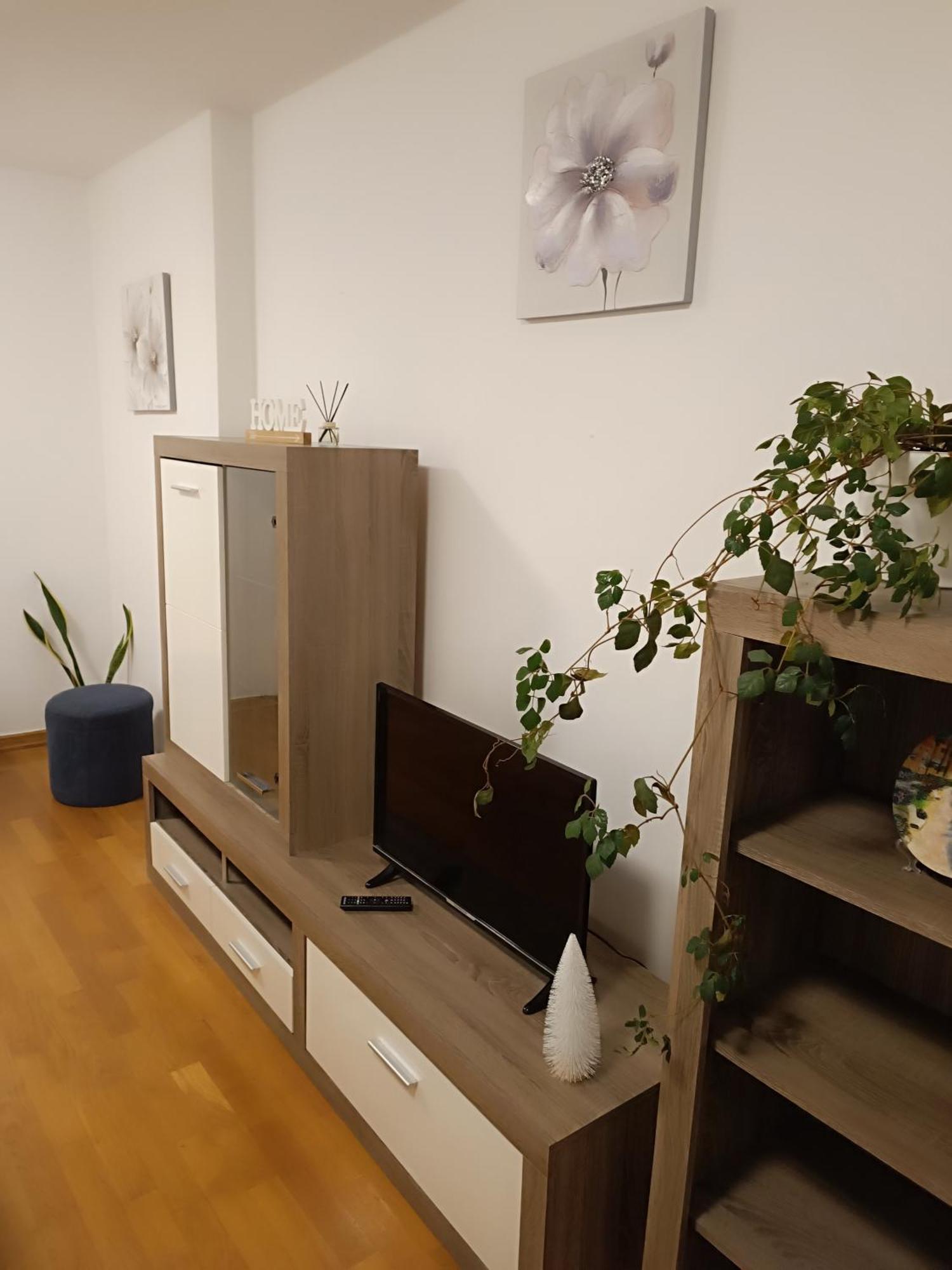 Apartment Trnsko