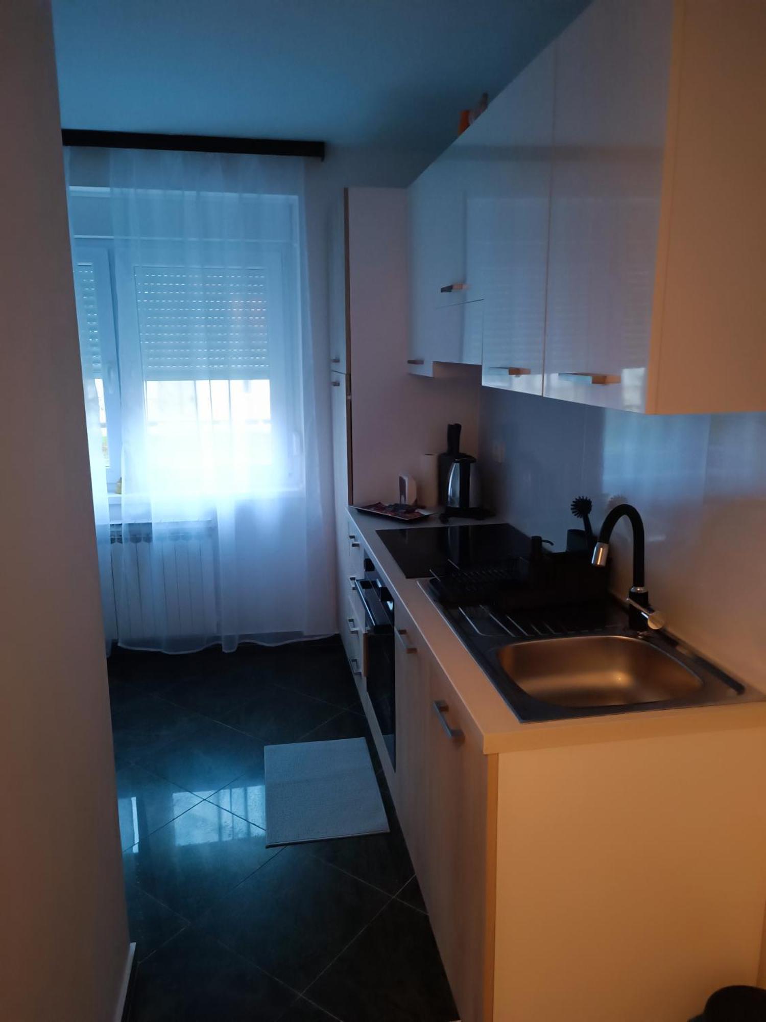 Trnsko Apartment *